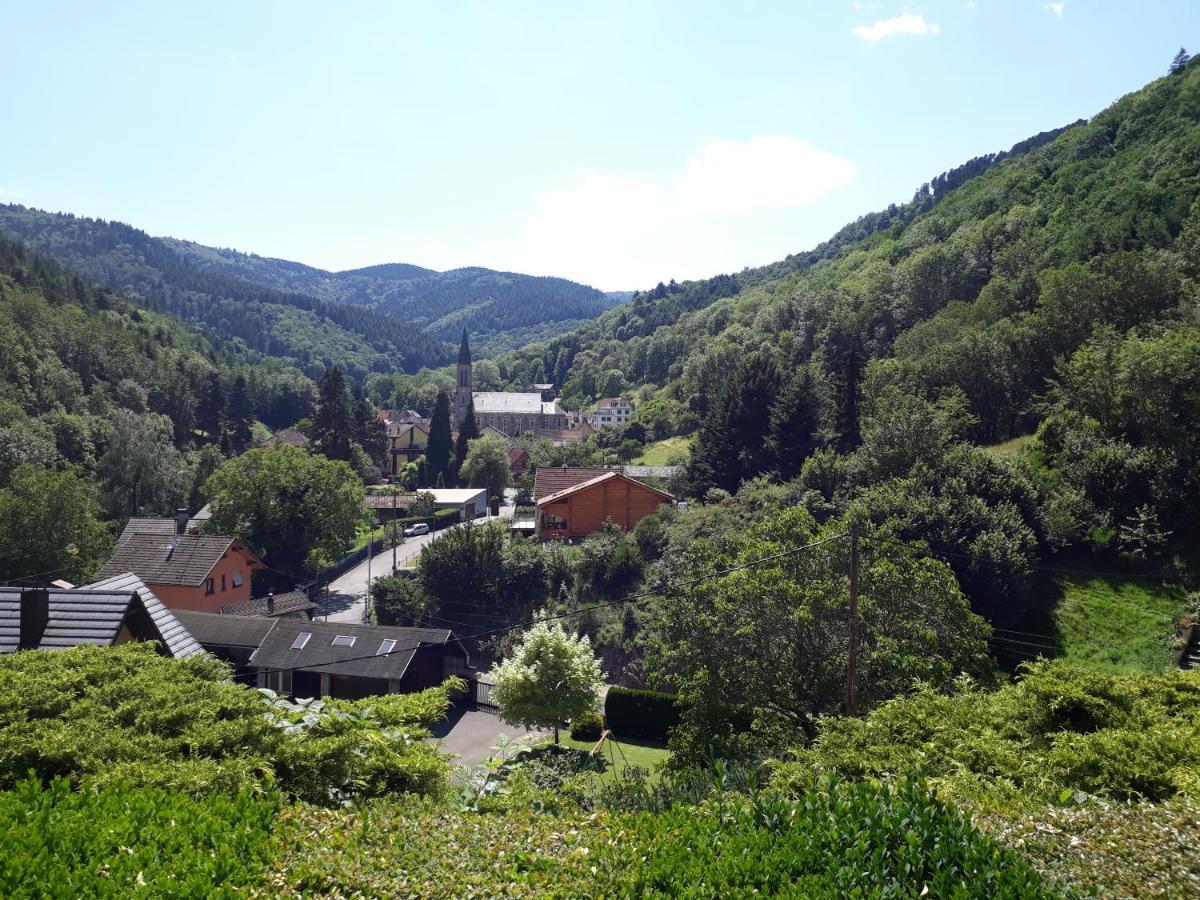 Vila Un Air D'Alsace Rimbach-près-Guebwiller Exteriér fotografie